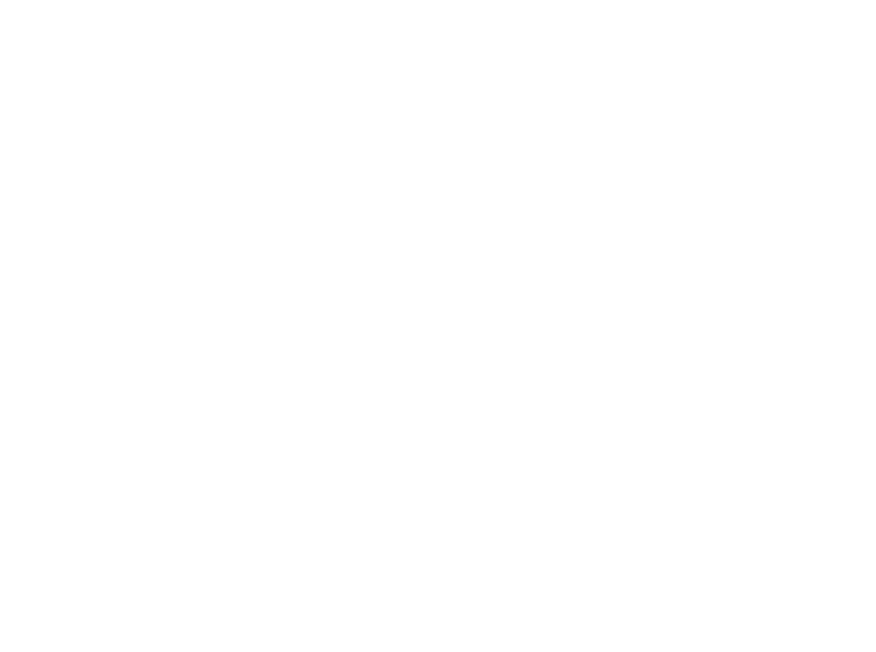NetOnWorld Plus